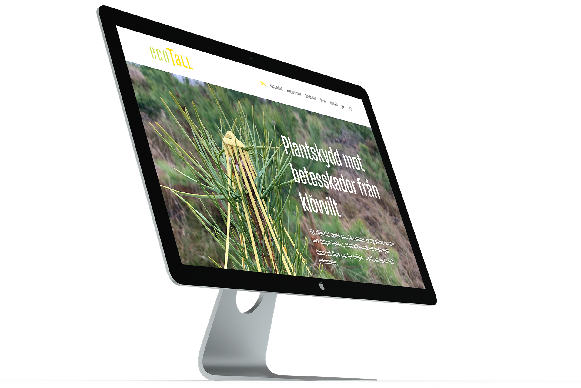 EcoTall_mockup_4